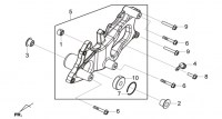 F20 - ΨΑΛΙΔΙ